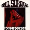 CD SOUL SURVIVAL - Soul Sounds RTCD901145O Retreat Records 1992 Germany Soul/Funk Used
