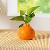 Orange Shaped Vase Small Design Hydroponics Vase Decorative Orange Fruit for Home Office