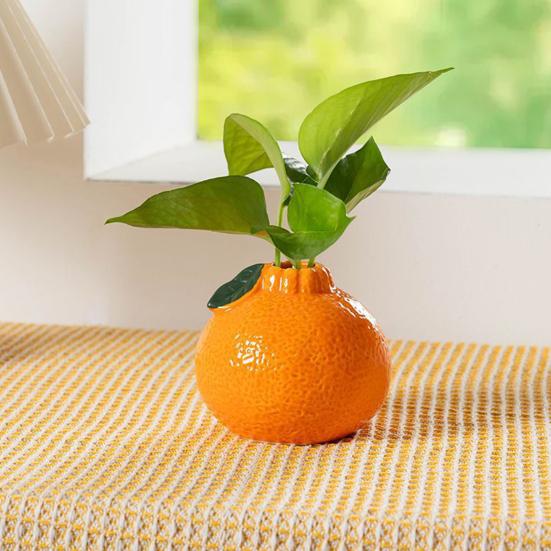 Orange Shaped Vase Small Design Hydroponics Vase Decorative Orange Fruit for Home Office