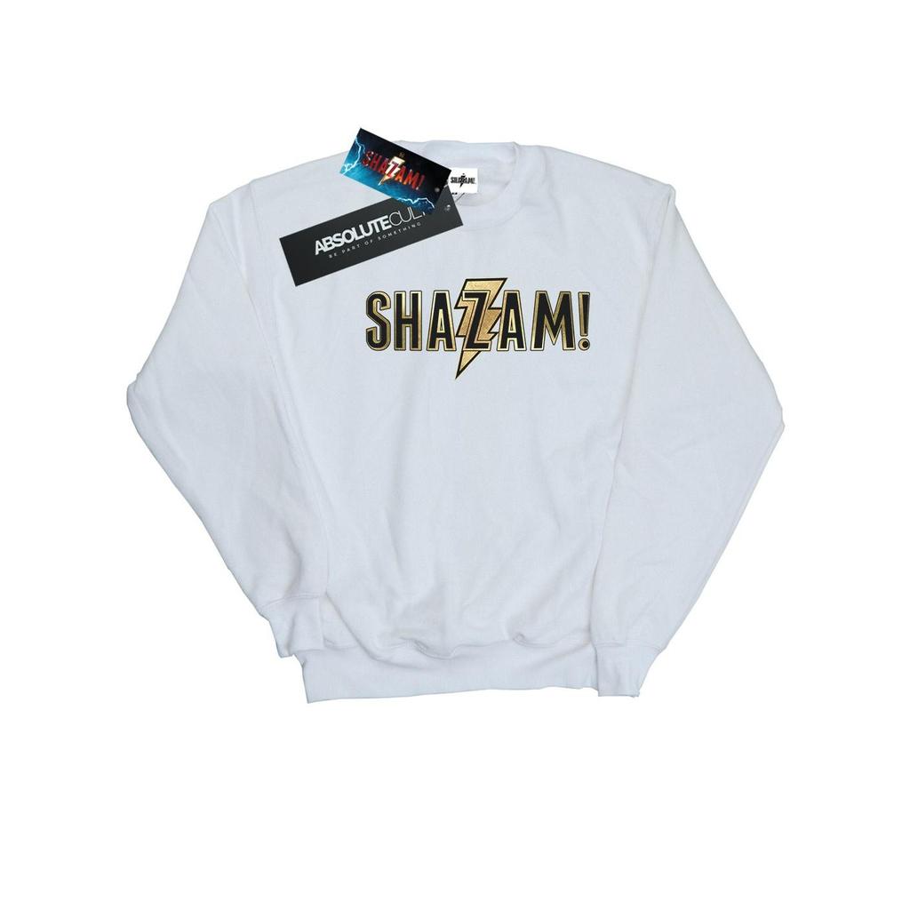 DC Comics Girls Shazam Text Logo Sweatshirt