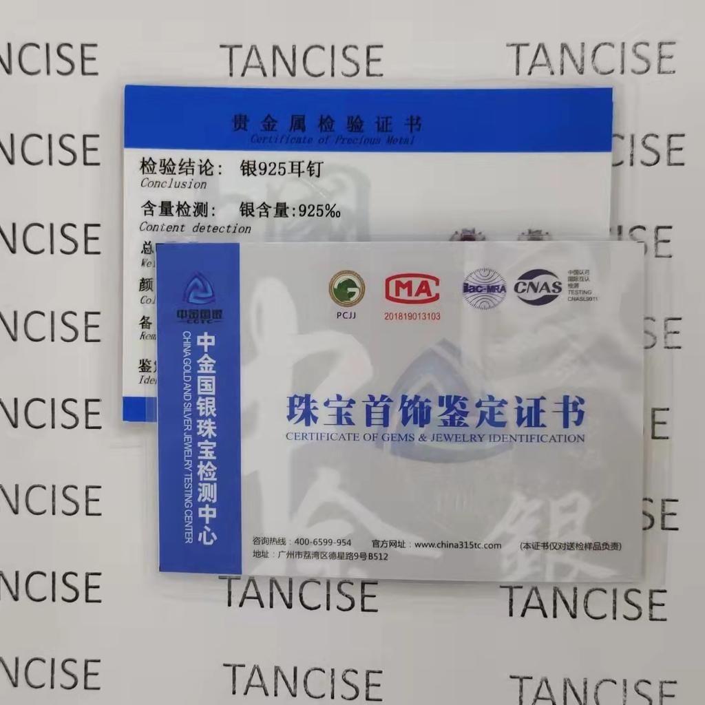 Tancise 925 Sterling Silver Zircon Earrings Drop Earrings For Women Wedding Party Gifts