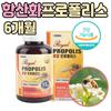 Canada Propolis Antioxidant Nutrient Capsule Propolis Extract Powder, 180 Tablets, 1 Unit