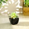 Potted Plant Simulated Easy To Care PVC Mini Assorted Decorative Succulent Artificial