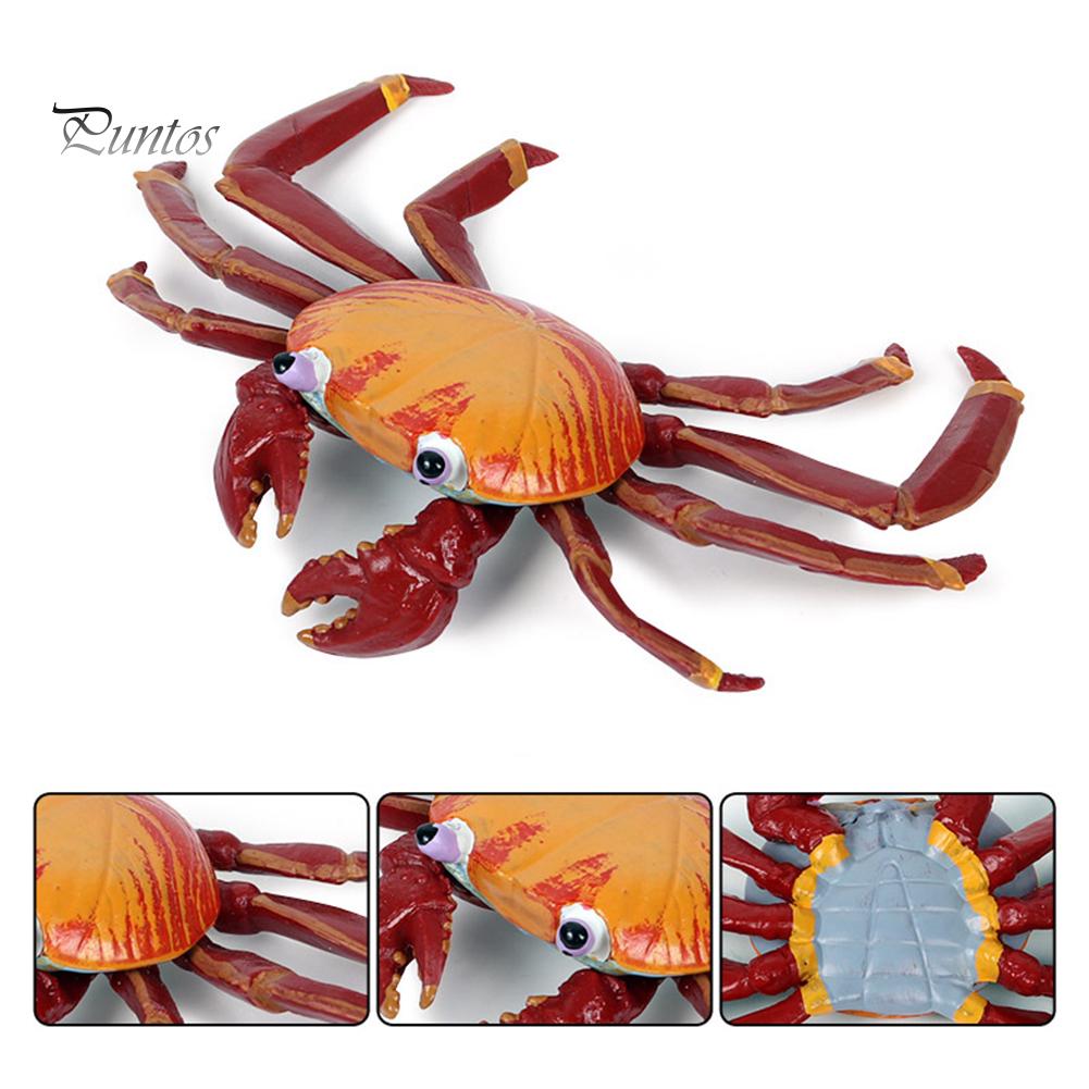 Puntos Kids Toy Simulation Hermit Crab Морское животное ПВХ Модель Настольный Декор Образование
