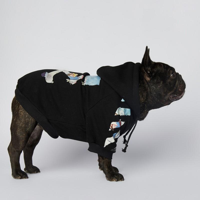 Luxury Designer Winter Autumn Fleece Lining Warm Dog Clothes XS-4XL Large Size French Bull Hoodies 2 Legged Puppy Sweatshirts