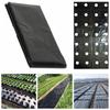 Прополка Тепличные Растения Растут Перфорированная Пленка Садовые Принадлежности Мульчирующая Пленка Сельскохозяйственные Принадлежности