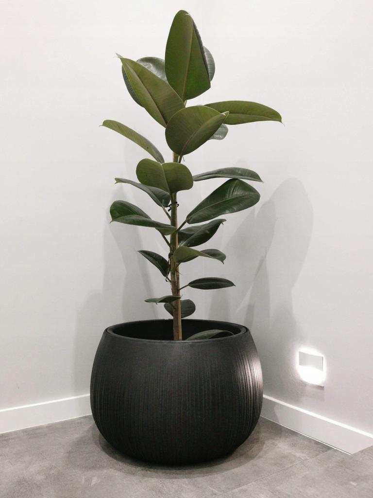 Beton Bowl DKB290 ball flowerpot with insert | Beton
