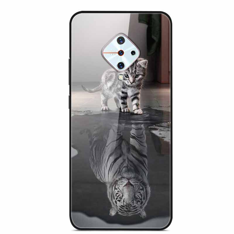 Tempered Glass Case For Vivo V17 Case Russia Glass Back Cover Soft Bumper For Vivo V17 Phone Cases V 17 Funda Y9s S1 Pro Coque