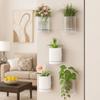 Double Layer Hydroponic Wall Planter Plastic Hanging Flower Pot Wall Hanging Vase  Indoor Planting