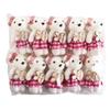 10pcs/bag Plush Doll Mini Bear Flower Bouquet Plush Animal Cartoon Bouquet Doll  Graduation Gifts