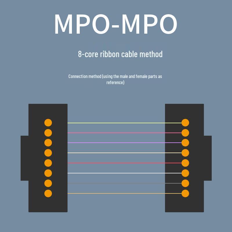 G.C.X 100G OM3 MPO-MPO Fiber Optic Patch Cable