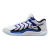 Мужские кроссовки KD 17 Penny Синие Белые Черные FJ9487-100