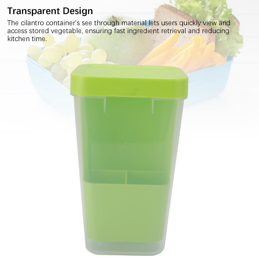 Plastic Asparagus Container Transparent Vegetables Keeper Asparagus Organizer For Kitchen