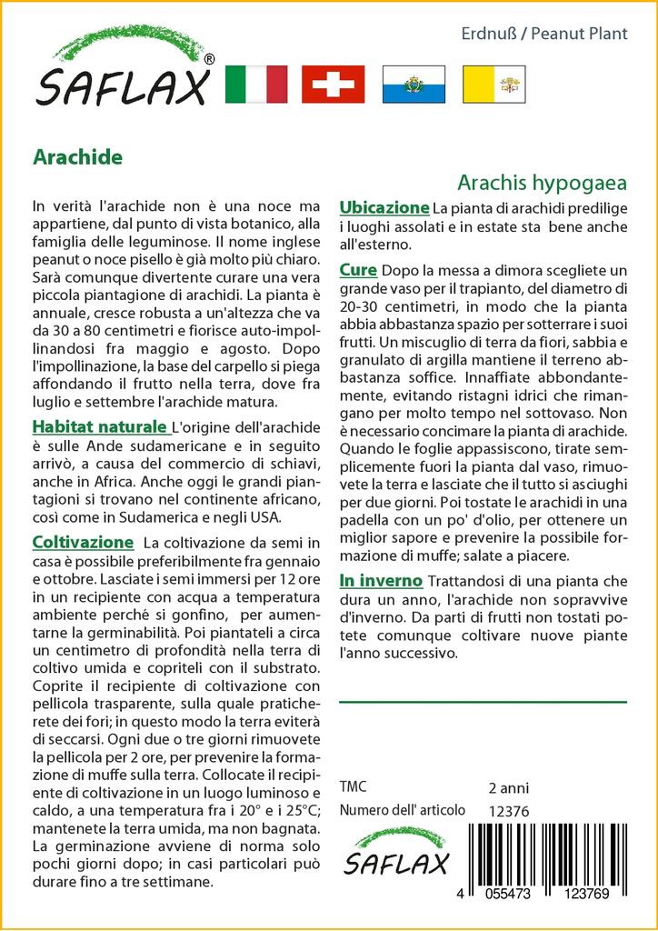 SAFLAX Арахисовое растение - 8 семян - Arachis hypogaea