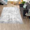 Washable Printed Carpet RVGHOME1636-HT1348