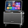 SAST SA-210C Портативная уличная KTV система с дисплеем (Китайская версия)