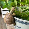 Tortoise Figure Plant Pot Hanger, Resin Hanging Turtle Statue Plant Decorations Cute Turtle Statue Figurines Planter Pot Hangers