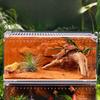 Reptile Terrarium Animal Habitat Cage, Clear, Hatching Case, Enclosure Feeding Box for