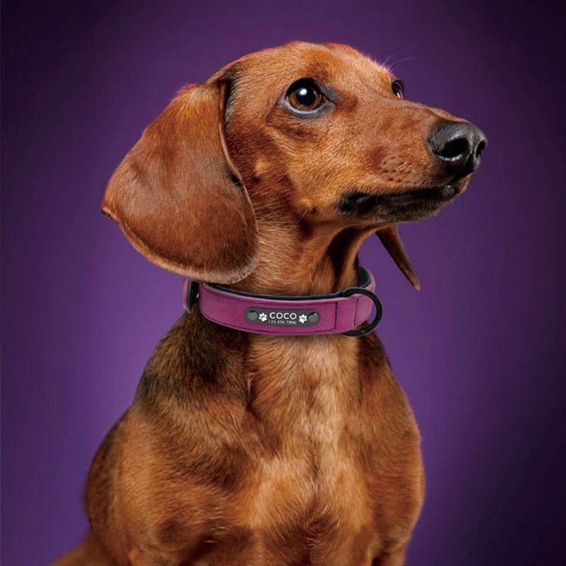 Индивидуальные кожаные ошейники для собак, персонализированные ID-бирки, ошейники с бесплатной гравировкой имени для маленьких, средних, больших собак, бульдогов