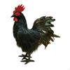 Имитационная модель Статуэтка искусственного животного для кухни и фермы