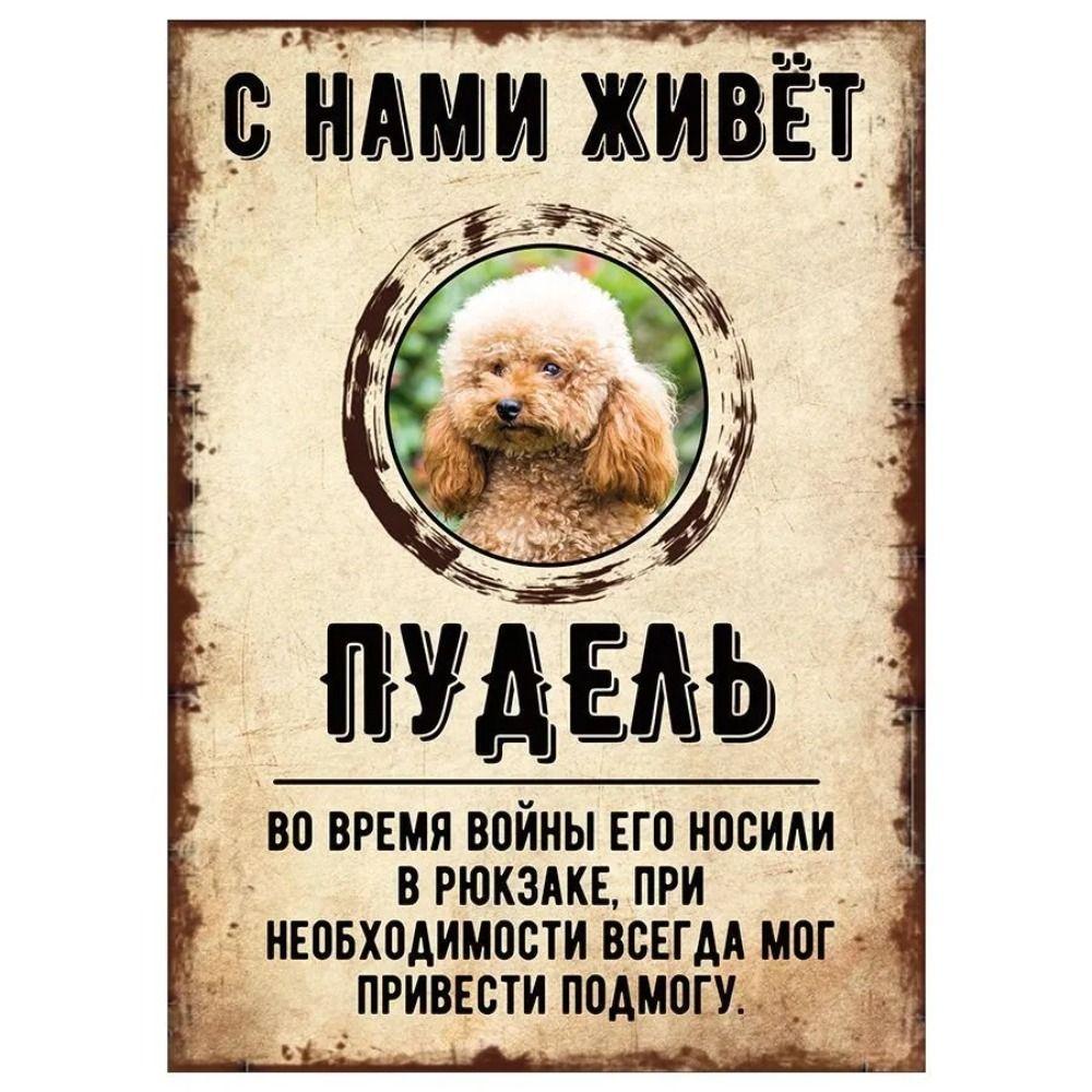 ОСТОРОЖНО СОБАКА Забавная Шнауцер Металлическая Табличка Декор для Питомца 20x30см