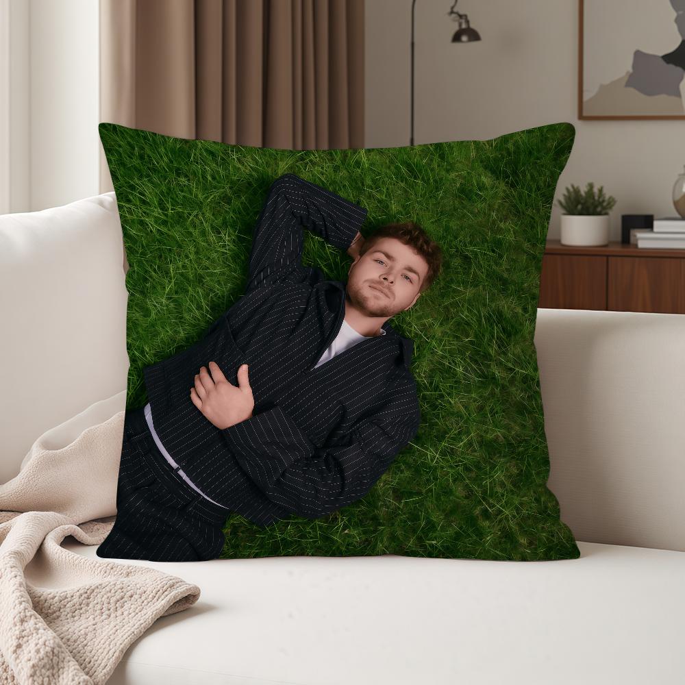 American Singer Aalex Wwarren Pillow Case Suitable For Bedrooms Living Rooms Cars Home Decoration