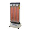 Dongxia Electric Infrared Heater