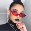 Fashionable Women Cat Eye Design Sunglasses With Retro Small Eyeglass And Uv Protection