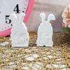 Bunnies Statue Silicone Candle Molds for Candle Soap Home Decoration Animal Shape Silicone Candle Molds for Epoxy Resin