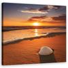 Canvas Print, Shells Nature