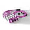 MPO-LC Fiber Patch Cable