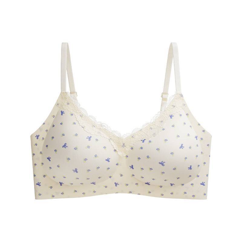 French Lace Girl Bra With Pushup And Seamless Design For Youths