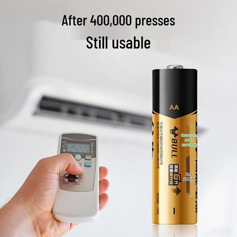 BULL AA Alkaline Batteries CN plug (adapter included)