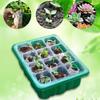 Plant Sowing Box, Succulent, Breathable, Adjustable 12 Hole Plastic Seedling Pot, Home Seedling Hole Tray