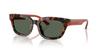 Sunglasses 0EA4233U HAVANA BROWN 53 [Emporio Armani]