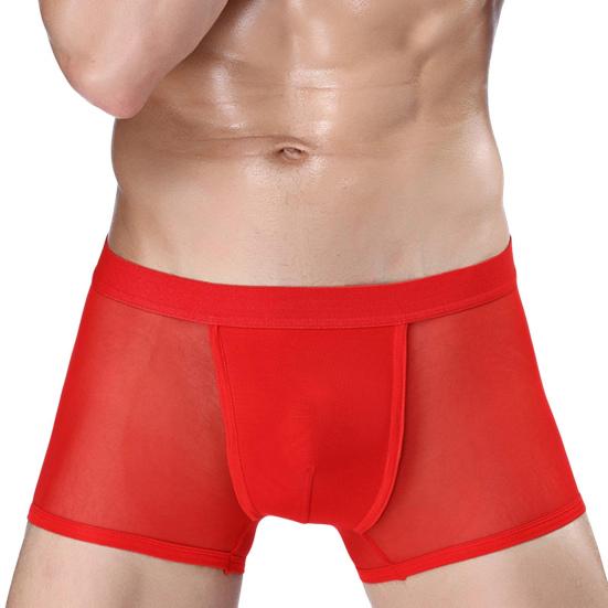 Men Boxer Underwear Mid-rise Perspective Mesh Yarn Sexy Shorts Panties Solid Color Hollow Panties Daily Wear
