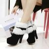 Fashion Winter Women Ankle Boots High Heels Platform Shoes Femme Warm Fur Short Boots Red Black Ladies Party Shoes Plus Size