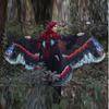 Halloween Butterfly Peacock Shawl Moth Butterfly Cosplay Costumes Beautiful Butterfly Cape  Banquet