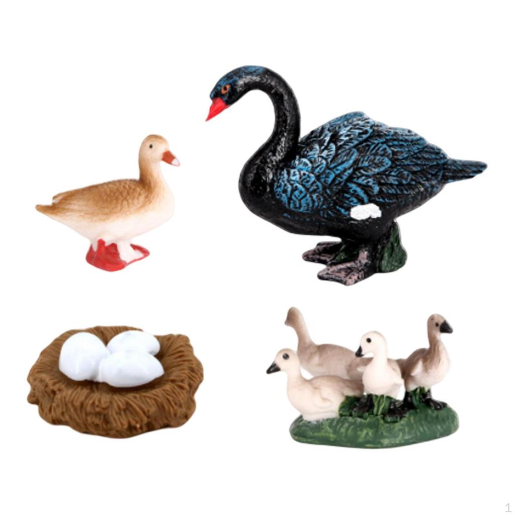 Animal Life Cycle Salmon Model Toy Children Kids Toys