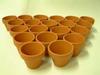 Маленькие бонсай в 10 твердых терракотовых горшках. Доставка возможна в Kanto Pots, Германия. 4 см, штук, 1,5 см, [Регион следующего дня]