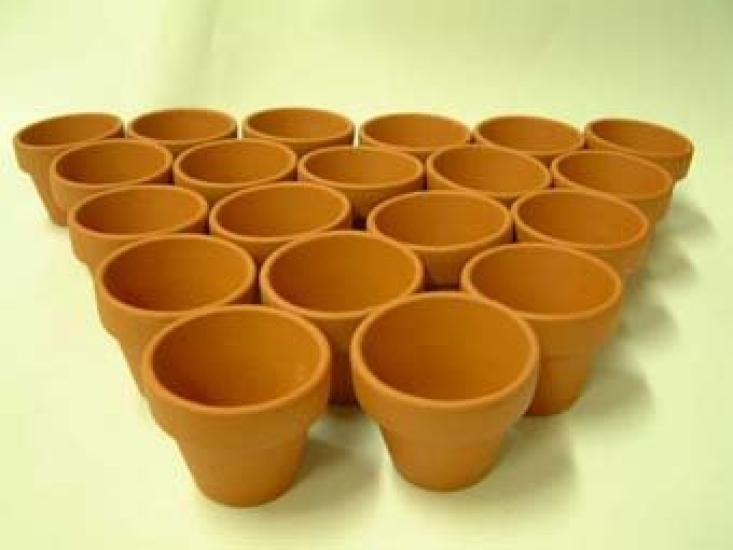 Маленькие бонсай в 10 твердых терракотовых горшках. Доставка возможна в Kanto Pots, Германия. 4 см, штук, 1,5 см, [Регион следующего дня]