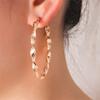 High-end Metal Twist Personalized Fashion Matte Earrings