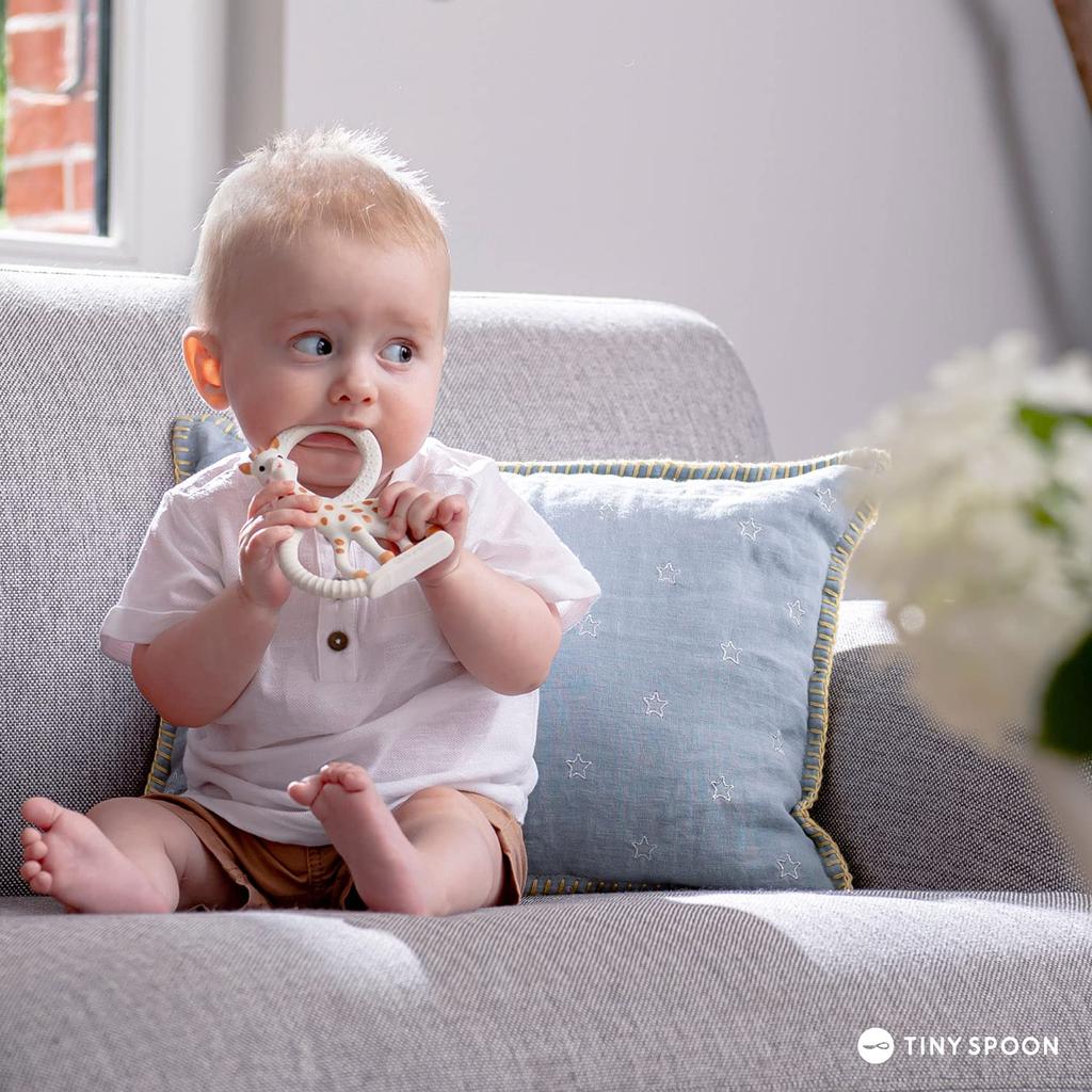 Подарочный пакет для прорезывания зубов жирафа Софи с открыткой для сообщений Японские Vulli 0 0 Популярные детские игрушки на день рождения [Набор Sophisticade] [Подлинный продукт]