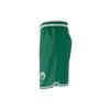 Nike Boston Celtics Dri-FIT DNA Logo Drawstring Straight Leg Дышащие Удобные Мягкие Баскетбольные Шорты Мужские Шорты Зеленые DH9168-312