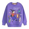 Room On The Broom Childrens/Kids Characters Sweatshirt