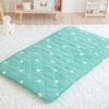 Nap Futon Sleeping Nap Mat 70 X 120 Cm Sp3257ma Heart 7838 Green 500