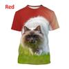 2024 Новые футболки с изображением животных Ragdoll Cat 3D, унисекс, повседневные футболки с коротким рукавом и принтом забавного котенка