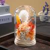 Eternal rose glass cover finished real flower gift ornament holiday gift gift LED lampshade