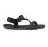 Сандалии Xero Shoes EU Z-Trail EV