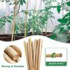 20 Pcs Bamboo Plant Support Stakes Reusable Garden Stakes Natural Bamboo Sticks Support Poles for Orchid Tomato Vegetables Climbing Plants